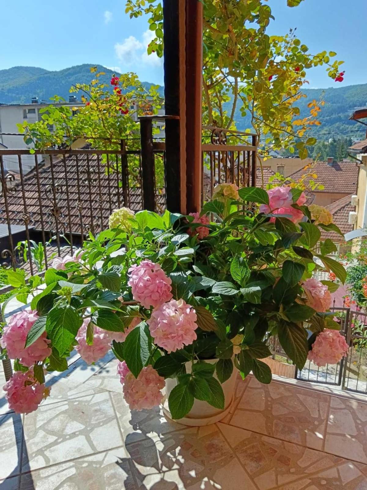 Gorazde-Centar Apartment Εξωτερικό φωτογραφία